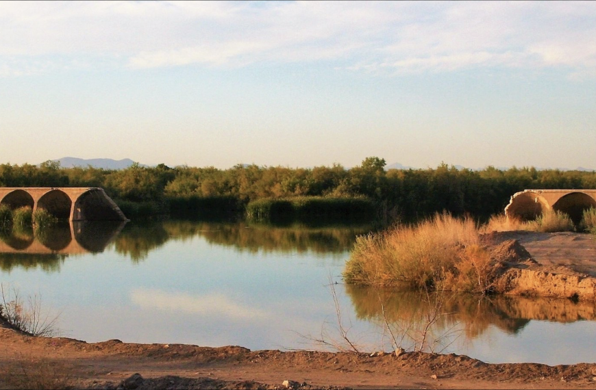 Water flowing through the Lower Gila River with scattered trees and bare earth.